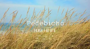 Appartement à la plage de São João de Caparica - Image 5