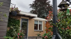 Achter de Beukenboom - Image 3