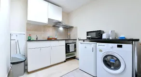 City Apartments near Seven Sisters - Image 3