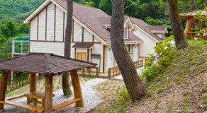 Wonju Sarichi Land in Forest Pension - Image 2