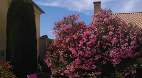 La Maison d'hôtes Antaram - Image 5
