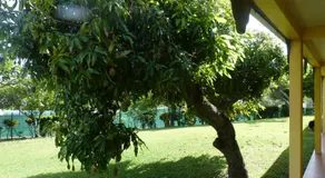 Airport Hotel - Image 5