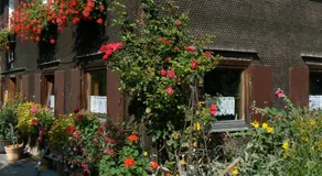 Ferienhof Hiemer - Image 2