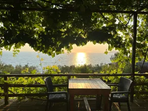 HONEY HILL FARALYA - Image 4