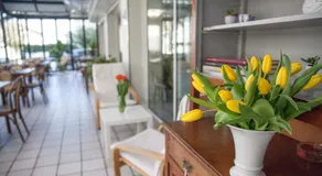 Hotel Villa Lina ANGOLO VIALE DANTE - Image 2