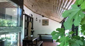 Grauri si Smochini - Image 4