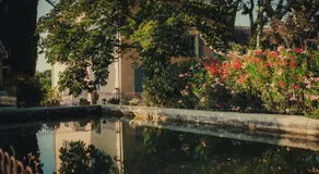 Domaine Les Mûriers - Image 4