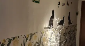 Green Cat Rooms - Image 4