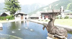 MONDI Bellevue Alm Gastein - Image 4