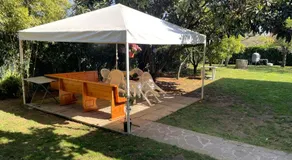 Appartamento in Villa con giardino vicino al mare - Image 4