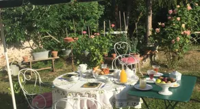 La Vigne dorée - Image 5