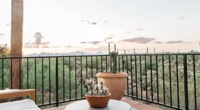 The JTH Tucson - Image 2