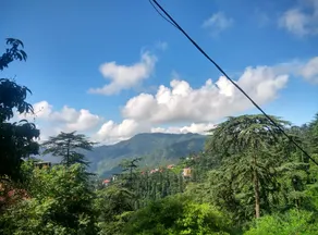 Cocoon Shimla - 1 KM from ISBT Shimla - Image 5