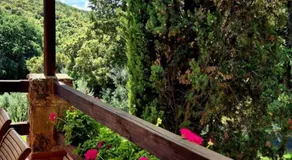 Tenuta Aronne - Image 5