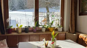 Gasthof Raufner - Image 5
