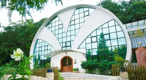 Maison-Philo Homestay B & B - Image 4