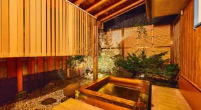 Manor House - Image 3