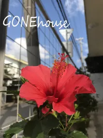 Gone House - Image 1