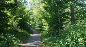 Torups Vandrarhem - Image 5