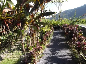 The Bukit Artha - Image 4
