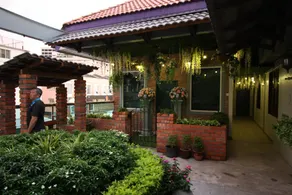 Shamrock Garden - Image 3