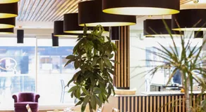 Hotel No151 - Image 2