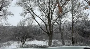 Le Domaine Belinay - Image 2