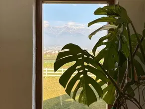Peak Vista Villa - Image 3