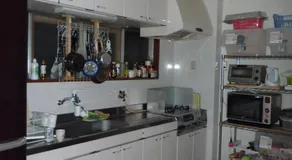 Osaka Kuma House - Image 2