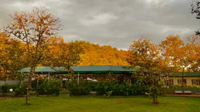 SpicyMango Kalangan Farms - Image 5