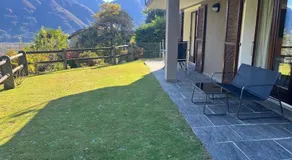 Small Green Views - Image 4