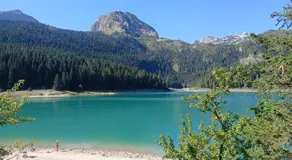 D&N place - forest house Zabljak - Image 4