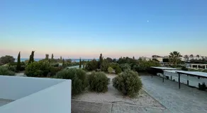 Xenia Terra - Image 5