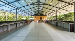 Oceanus Retreat - Image 3