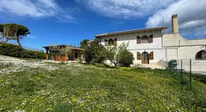 Frapippo - Image 5