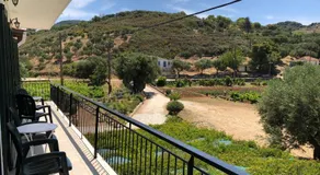 Apelati - Image 4
