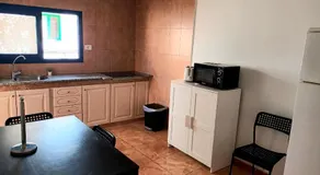 la casa de las palmeras - Image 3
