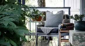 Dingleigh of Sassafras - Image 3