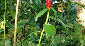 Wildlife Lodge - Image 2