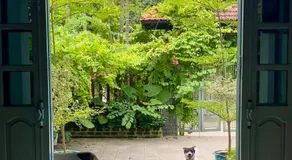 ký ức tươi đẹp homestay - Image 4