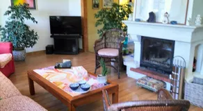 Le jardin des oiseaux - Image 2