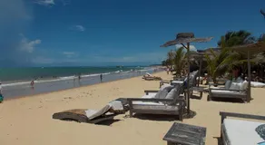 Onça 1024 - Image 3