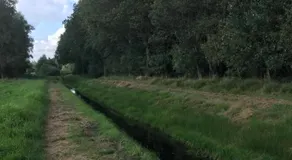 De Dagloner - Image 5