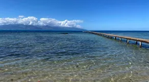 MOOREA - Naku Kahi Bungalow 1 - Image 5