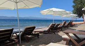 Sea You on the Beach - Image 5