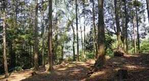 Li Jin Kuan Homestay - Image 5
