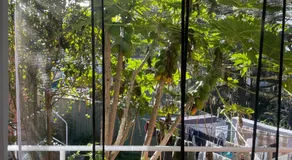 Coral House - Image 3