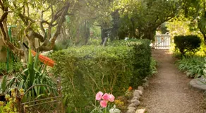 Le Vieux Logis Chambres d'Hôtes - Image 4