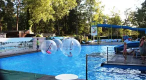 Chalet Bosrand 42 Park Veluwshof 6 p - Image 4