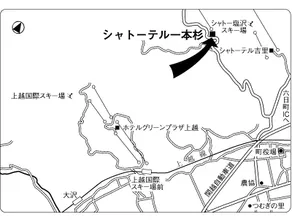 Chateautel Ipponsugi - Image 4